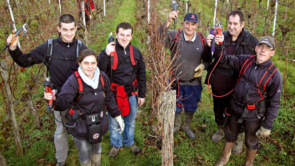 La Vigne et Aquitaine viti services (AVS), entreprise prestataire de services basée aux Salles-de-Castillon (33), ont testé les derniers sécateurs électriques. De gauche à droite : Jérôme Santin (cogérant d'AVS), Jessica Gady, tailleuse, Thomas Flouret (cogérant), Jean-Claude Hottelet, Jérôme Bornerie et Mathias Gendreau, tailleurs, dans les vignes du château Dalem, en AOC Fronsac, à Saillans (33).www.lavigne-mag.frRetrouvez les vidéos des tests pour chacun des sécateurs.PHOTO : P. ROY La Vigne et Aquitaine viti services (AVS), entreprise prestataire de services basée aux Salles-de-Castillon (33), ont testé les derniers sécateurs électriques. De gauche à droite : Jérôme Santin (cogérant d'AVS), Jessica Gady, tailleuse, Thomas Flouret (cogérant), Jean-Claude Hottelet, Jérôme Bornerie et Mathias Gendreau, tailleurs, dans les vignes du château Dalem, en AOC Fronsac, à Saillans (33).www.lavigne-mag.frRetrouvez les vidéos des tests pour chacun des sécateurs.PHOTO : P. ROY