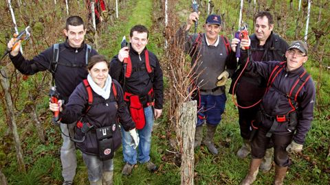 La Vigne et Aquitaine viti services (AVS), entreprise prestataire de services basée aux Salles-de-Castillon (33), ont testé les derniers sécateurs électriques. De gauche à droite : Jérôme Santin (cogérant d'AVS), Jessica Gady, tailleuse, Thomas Flouret (cogérant), Jean-Claude Hottelet, Jérôme Bornerie et Mathias Gendreau, tailleurs, dans les vignes du château Dalem, en AOC Fronsac, à Saillans (33).www.lavigne-mag.frRetrouvez les vidéos des tests pour chacun des sécateurs.PHOTO : P. ROY
