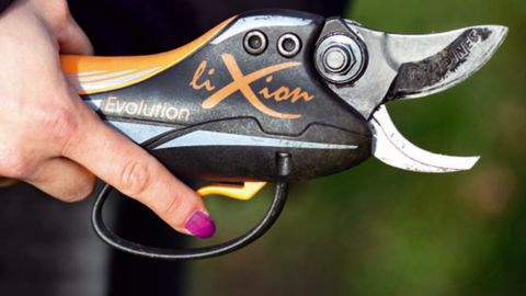 1. ContrastéD'un tailleur à l'autre, la prise en main apparaît plus ou moins difficile.PHOTOS : P. ROY