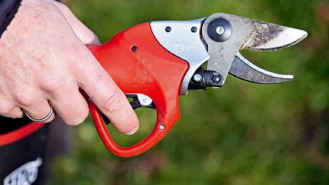 1. LégerLe 801 est le plus court et le plus léger du panel testé.PHOTOS : P. ROY