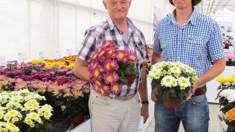 Pierre Samson (à gauche) représentant pour la France, et Dave Geerlings, sélectionneur, tous deux pour Royal Van Zanten, défendent l'intérêt de relancer les chrysanthèmes en pot, d'autant que la génétique a apporté de multiples cultivars colorés.
