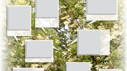 Bien que spectaculaire, la « maladie des taches goudronneuses » ne perturbe pas vraiment les arbres.