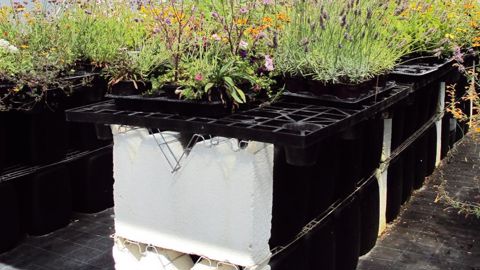 Le Ratho expérimente deux modèles accumulateurs de chaleur dans sa serre bioclimatique : ici, le modèle horticole est composé de petits murs situés en dessous des tablettes de culture.