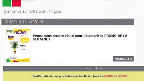 Sur www.horticash.com, fleuristes et jardineries se connectent via l'espace pro de la page d'accueil. Ils sont dirigés sur leur site de rattachement (ici, Angers). Puis ils choisissent un service et peuvent télécharger l'offre des produits avec les visuels.