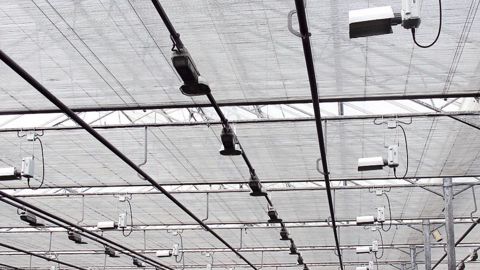 Le montant maximal des investissements éligibles au dispositif de modernisation des serres est porté à 2 millions d'euros, selon une décision prise lors du dernier Conseil spécialisé de FranceAgriMer pour l'horticulture.