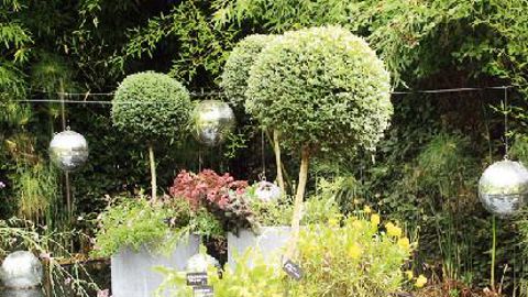 PHOTO : VALÉRIE VIDRIL