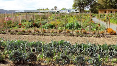 La SNHF multiplie les initiatives pour sensibiliser les jardiniers à la nécessité de limiter l'usage des pesticides.