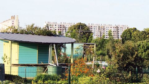 Les réflexions porteront sur les notions de production et de choix des végétaux pour des aménagements écoresponsables dans la ville du futur.