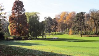 Les arbres ont une marge de sécurité faible vis-à-visdes risques d'embolie. L'augmentation de la fréquenceet de l'intensité des sécheresses peut affecter tous lespeuplements, quel que soit le climat considéré. Les arbres ont une marge de sécurité faible vis-à-visdes risques d'embolie. L'augmentation de la fréquenceet de l'intensité des sécheresses peut affecter tous lespeuplements, quel que soit le climat considéré.
