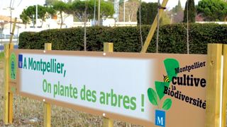 La ville de Montpellier, qui a accueilli la première réunion de mise en oeuvre du plan de Nagoya pour la biodiversité, a largement orienté son action autour de cet axe. La ville de Montpellier, qui a accueilli la première réunion de mise en oeuvre du plan de Nagoya pour la biodiversité, a largement orienté son action autour de cet axe.