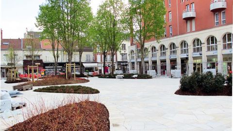 « Quelle végétalisation pour la ville de demain ? » C'est à cette question que tenteront de répondre les conférences du pôle « Paysage » du Salon du végétal, à Angers, du 19 au 21 février.