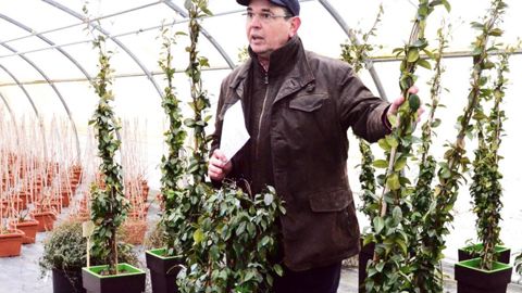 « Nous produisons 1,3 million d'unités, du jeune plant, – notamment pour l'export –, aux grimpantes de 8 m pour les paysagistes. L'essentiel est de connaître les besoins de nos clients », explique Arnaud Travers, le gérant de l'entreprise.