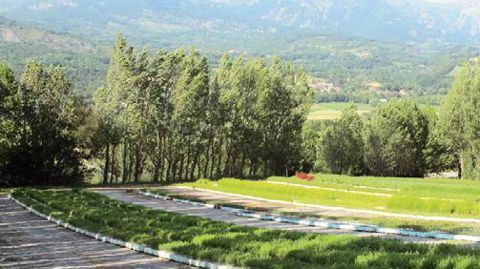 Les pépinières Robin, près de Gap (05), font partie des entreprises françaises labellisées MPS.PHOTO : VALÉRIE VIDRIL