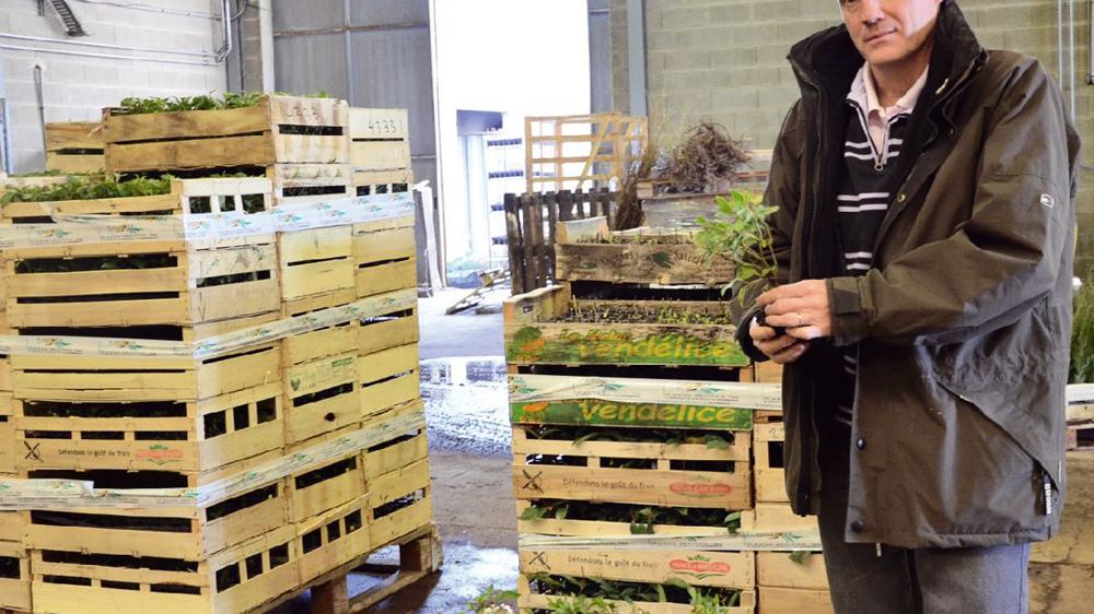 En 2011, la région Centre a gravi  Vie des régions la troisième marche du podium des régions productrices de jeunes plants, à l'image des pépinières Dupont (notre photo).