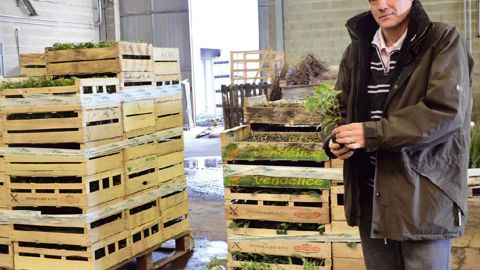 En 2011, la région Centre a gravi  Vie des régions la troisième marche du podium des régions productrices de jeunes plants, à l'image des pépinières Dupont (notre photo).