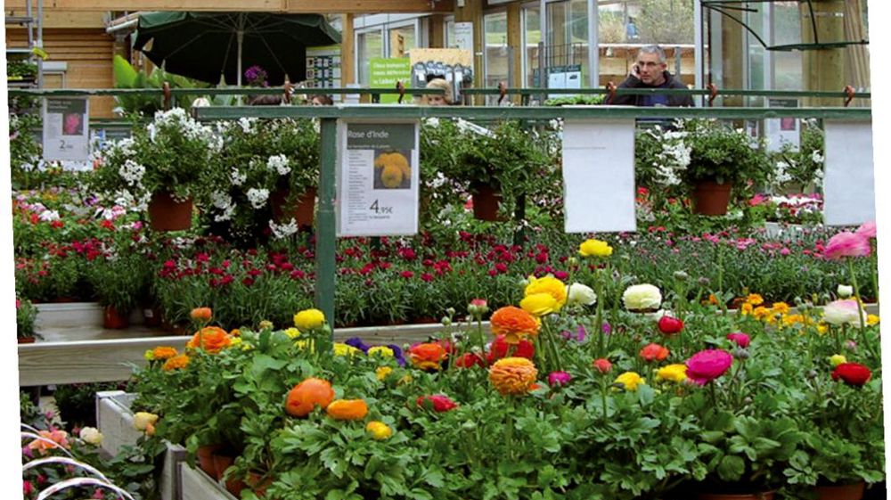La réorganisation et les nouvelles compétences de la centrale d'achat de Botanic® garantissent une offre végétale plus pointue.