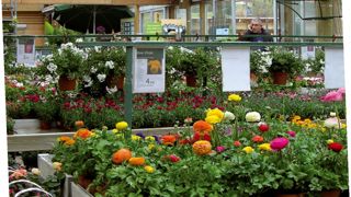La réorganisation et les nouvelles compétences de la centrale d'achat de Botanic® garantissent une offre végétale plus pointue. La réorganisation et les nouvelles compétences de la centrale d'achat de Botanic® garantissent une offre végétale plus pointue.