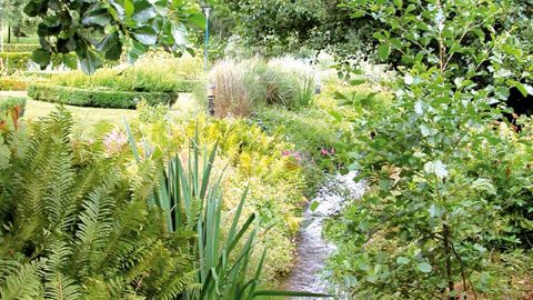 L'Anses et l'Onema s'associent pour trois années afin de mieux mesurer l'impact des produits phytosanitaires sur les milieux aquatiques.