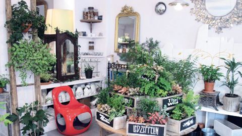 Comment offrir au client une expérience inoubliable en magasin ? Les conférences d'Hortea proposeront, entre autres, des réponses à cette question.