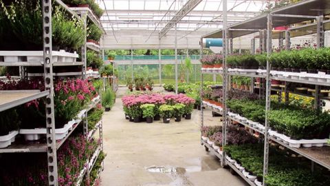 La performance économique des entreprises et l'adaptation au marché constituent l'un des points sur lesquels les professionnels doivent réfléchir avant juin.