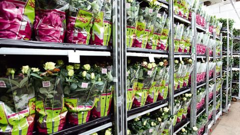 Container Centralen considère avoir terminé sa profonde restructuration lancée en 2012. Aujourd'hui, l'entreprise travaille au lancement de plateaux plus légers et plus ergonomiques, de nouveaux outils prévus dans le courant de 2017.