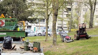 Le marché du paysage a connu une croissance de 2 % en 2012, mais après un bon début d'année, l'activité a faibli au quatrième trimestre, laissant augurer une année 2013 difficile. Le marché du paysage a connu une croissance de 2 % en 2012, mais après un bon début d'année, l'activité a faibli au quatrième trimestre, laissant augurer une année 2013 difficile.