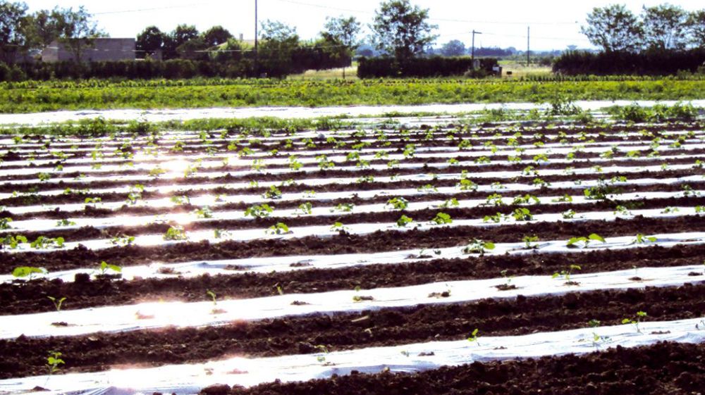 Le taux de collecte des films agricoles usagés doit passer de 41 % en 2009 à 75 % en 2015.
