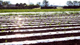 Le taux de collecte des films agricoles usagés doit passer de 41 % en 2009 à 75 % en 2015. Le taux de collecte des films agricoles usagés doit passer de 41 % en 2009 à 75 % en 2015.