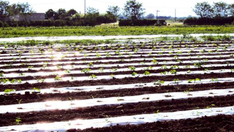 Le taux de collecte des films agricoles usagés doit passer de 41 % en 2009 à 75 % en 2015.