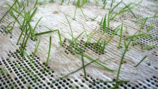 PHOTO : OTJ/ESTELLE MARY