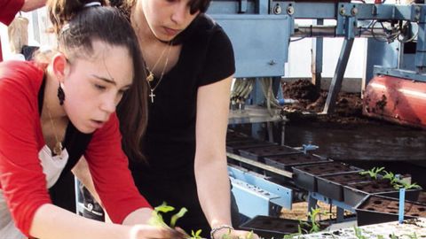 Les formations en agriculture et en horticulture ont une carte à jouer dans l'insertion professionnelle. Elles concernent de nombreux domaines aujourd'hui porteurs, à commencer par celui de l'environnement et du développement durable.