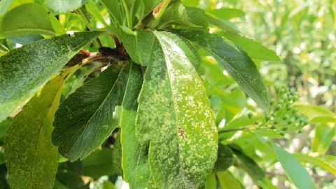 PHOTO : VALÉRIE VIDRIL