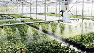 Les investissements d'irrigation (chariot, goutte-à-goutte, tensiomètres...) bénéficient d'un taux à 15 % dans le cadre de l'aide à la modernisation de France-AgriMer (Établissement national des produits de l'agriculture et de la mer). Les investissements d'irrigation (chariot, goutte-à-goutte, tensiomètres...) bénéficient d'un taux à 15 % dans le cadre de l'aide à la modernisation de France-AgriMer (Établissement national des produits de l'agriculture et de la mer).