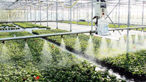 Les investissements d'irrigation (chariot, goutte-à-goutte, tensiomètres...) bénéficient d'un taux à 15 % dans le cadre de l'aide à la modernisation de France-AgriMer (Établissement national des produits de l'agriculture et de la mer).