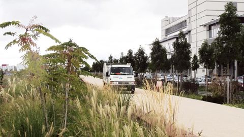 Les noues constituent l'une des solutions végétales dans la gestion de l'eau en zone urbanisée.PHOTO : PASCAL FAYOLLE