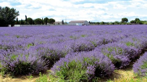 PHOTO : VALÉRIE VIDRIL