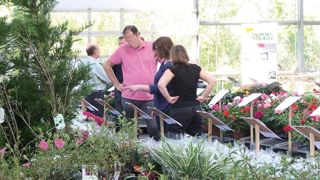 Située aux Ponts-de-Cé (49), la halle de Floriloire a accueilli la seconde édition de la bourse aux plantes. Située aux Ponts-de-Cé (49), la halle de Floriloire a accueilli la seconde édition de la bourse aux plantes.