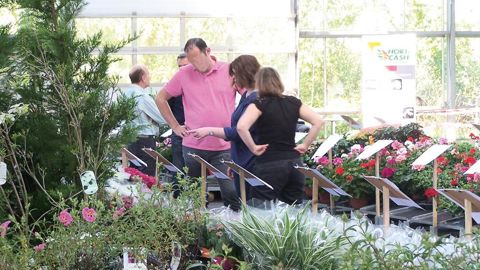 Située aux Ponts-de-Cé (49), la halle de Floriloire a accueilli la seconde édition de la bourse aux plantes.