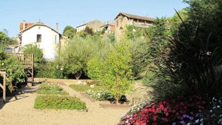 Plantes horticoles ou sauvages ? Pour quelle diversité ? Telles sont les questions auxquelles l'enquête du Pacte pour le Jardin vise à répondre. Plantes horticoles ou sauvages ? Pour quelle diversité ? Telles sont les questions auxquelles l'enquête du Pacte pour le Jardin vise à répondre.