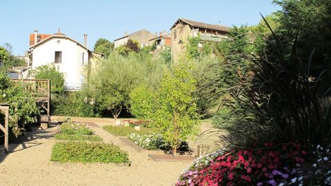 Plantes horticoles ou sauvages ? Pour quelle diversité ? Telles sont les questions auxquelles l'enquête du Pacte pour le Jardin vise à répondre.