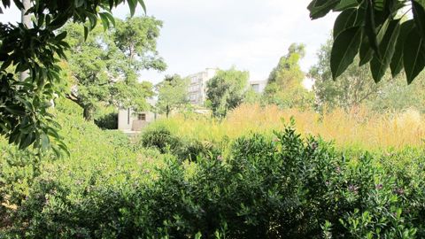 Le parc Bartholdi, à Perpignan (66), - Victoire du paysage d'argent l'an dernier -, sera à découvrir à l'occasion de la journée de Plante & Cité, dans la ville catalane, le 25 juin prochain.