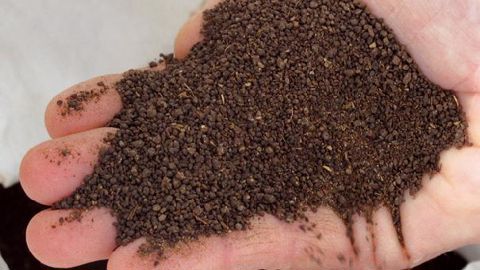 PHOTO : VALÉRIE VIDRIL