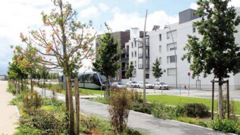 La journée sera l'occasion de présenter le web SPM, un outil cartographique de gestion des espaces verts, accessible depuis Internet, qui ne nécessite pas de connaissance particulière en système d'information géographique.PHOTO : PASCAL FAYOLLE