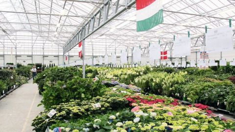 Le salon international Plantarium et la bourse-expo Groen-Direkt (sur notre photo, l'édition 2013) veulent faire de Boskoop « the place to be », à la fin du mois d'août.PHOTO : ODILE MAILLARD