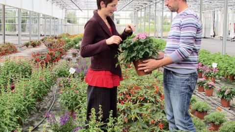 Mickaël Delhommeau et sa soeur, Sonia Bessonnet, codirigent le site de production de Saint-Julien-de-Concelles du groupe Delhommeau Marcel, qui produit plantes à massif, plants de légumes et aromatiques.PHOTO : ODILE MAILLARD