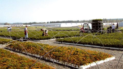 Les savoirs d'expérience se construisent tout au long de la vie professionnelle. Les services ressources humaines des entreprises intègrent la valeur de leur transmission au moment des changements de génération.