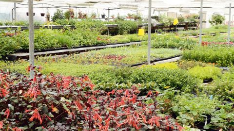 Estimation, recherche d'un repreneur, négociation financière, valorisation patrimoniale, impacts sur la vie personnelle... : la transmission doit s'envisager en amont.