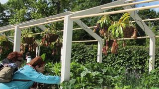 L'innovation guide les concepteurs des jardins présentés dans le cadre du festival, à l'exemple de cette réalisation qui offre une collection de plantes comestibles méconnues ou ignorées qui tend les bras aux visiteurs. L'innovation guide les concepteurs des jardins présentés dans le cadre du festival, à l'exemple de cette réalisation qui offre une collection de plantes comestibles méconnues ou ignorées qui tend les bras aux visiteurs.