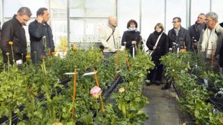 Lors du séminaire du réseau Hortipaysage, les participants ont visité le CREAT, station expérimentale de la chambre d'agriculture des Alpes-Maritimes.PHOTO : FRANÇOISE DEGACHE Lors du séminaire du réseau Hortipaysage, les participants ont visité le CREAT, station expérimentale de la chambre d'agriculture des Alpes-Maritimes.PHOTO : FRANÇOISE DEGACHE