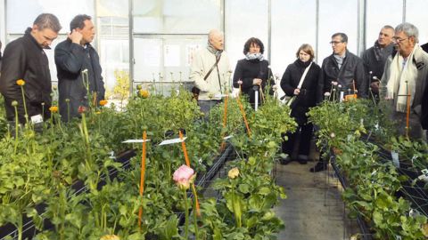 Lors du séminaire du réseau Hortipaysage, les participants ont visité le CREAT, station expérimentale de la chambre d'agriculture des Alpes-Maritimes.PHOTO : FRANÇOISE DEGACHE